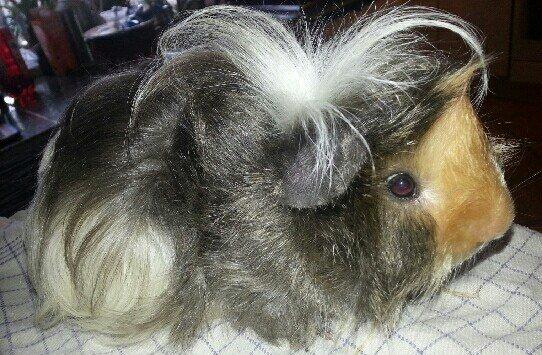 Weee... Er så glad :D