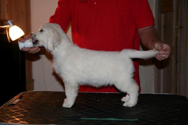 Hvad skal der ske i jeres weekend? :)