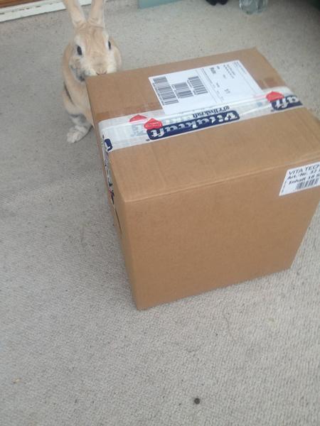 Ew, fundet pote i høet  - UPDATE! 