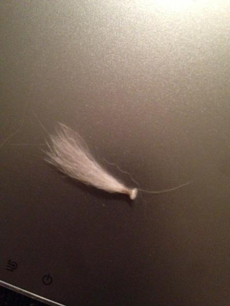 Min kanin har "klumper" i pelsen