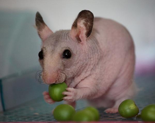 Mange nye billeder :)