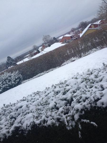 Første gang hun ser sne!!!