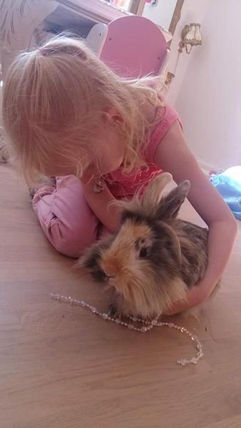 Hvad er kaninen Mille??