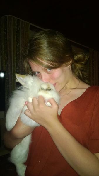 Nogle kreative hoveder?  -  Løbegår til kanin