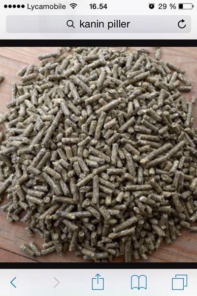 Må kaniner få dette?