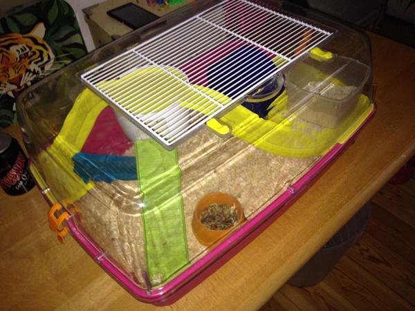 Størrelse af dværghamster bur?