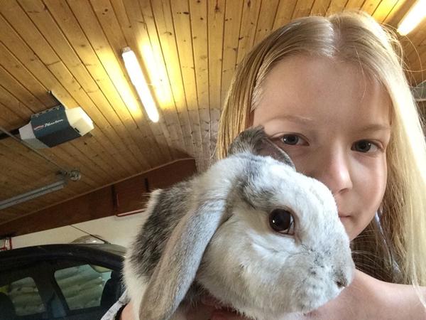 Kanin - Hinde ved øjet, hvad er dette?