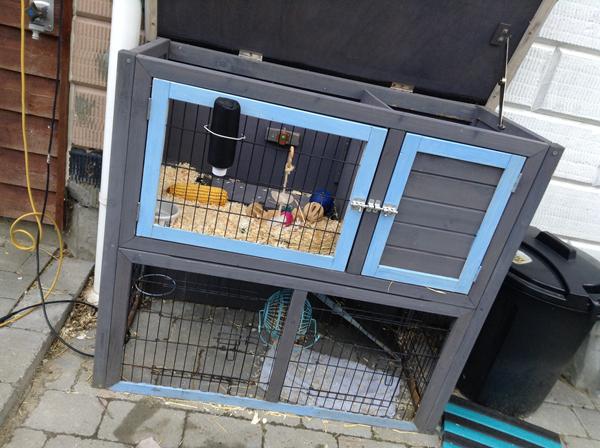 Græsse i sit eget bur??