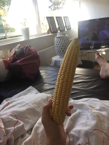 Majs køller til kaniner?