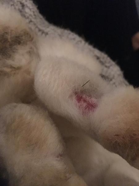 Hvad kan man gøre ved det her?