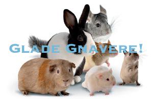 Glade Gnavere (Gruppe)