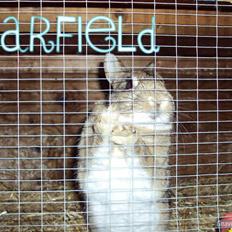 Kanin - Garfield. †13.09.10†