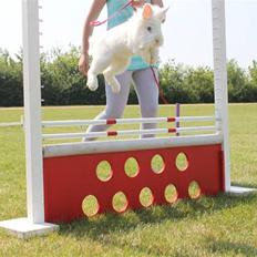 Kanin Brandsøgard's Baby