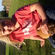 Marsvin stjerneskud (Død)