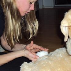 Dværghamster Mini *Rip*