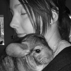 Chinchilla Burger <3 Solgt