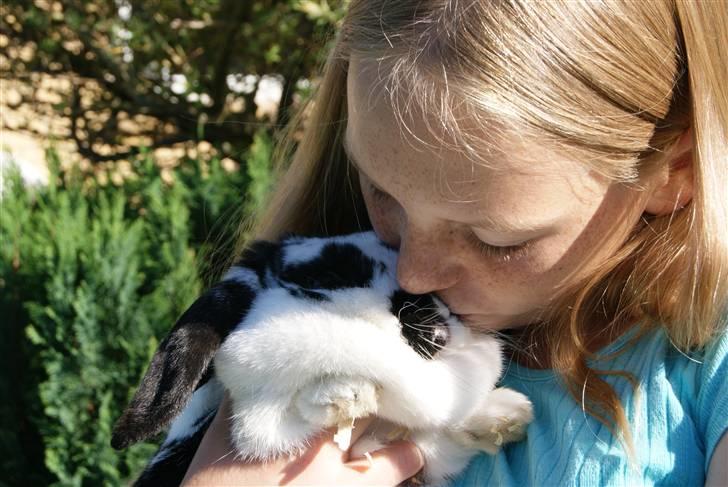 Kanin DV. Nala Cubala - Søde skatt <3 ILY <3 (Nala tænker: Ej moraaa det er pineligt ;-) ) billede 10