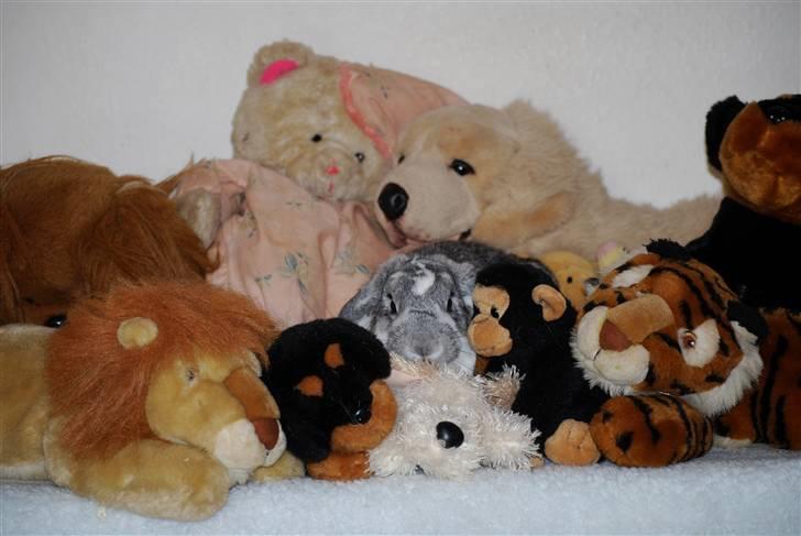 Kanin Sølvpil - Kan du mon finde mig? *SS* billede 18