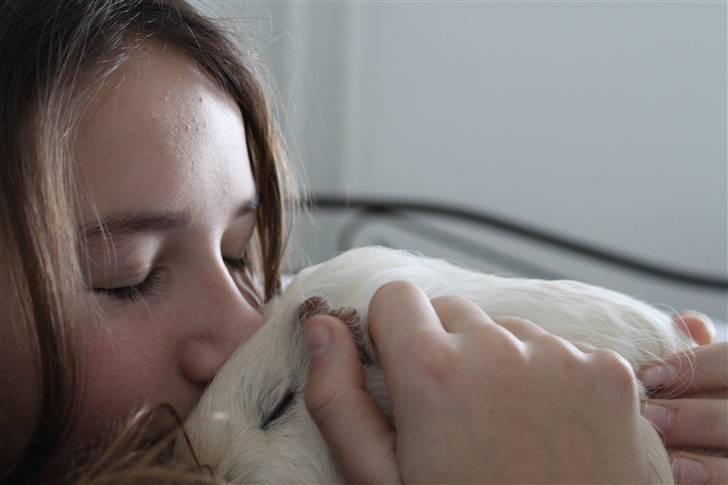Marsvin Müsly - Grølle - 1; Min aller bedste ven. Foto: MC billede 1