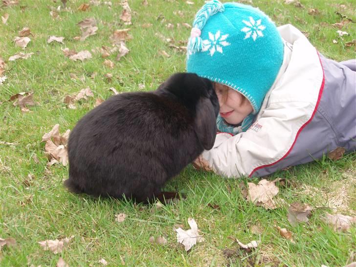 Kanin Polét - polét og mig billede 2