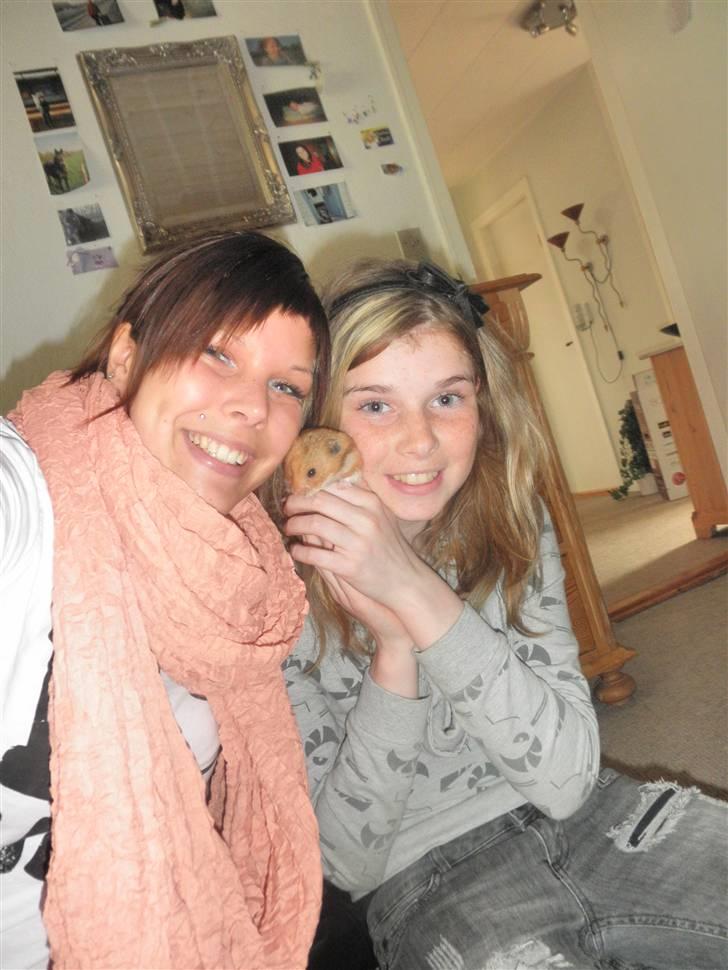 Hamster Balou - R.I.P † - nr. 6 | Smiiiil xb Balou, Christine ( min  søster )og mig ( sofie ) billede 6