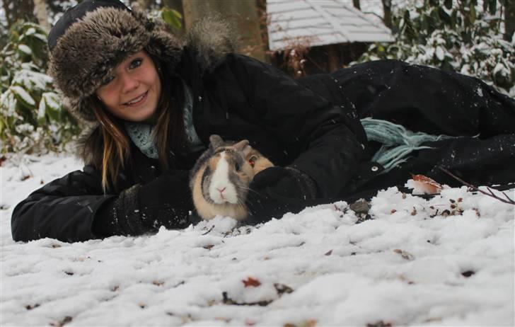 Kanin Madame Madea billede 4