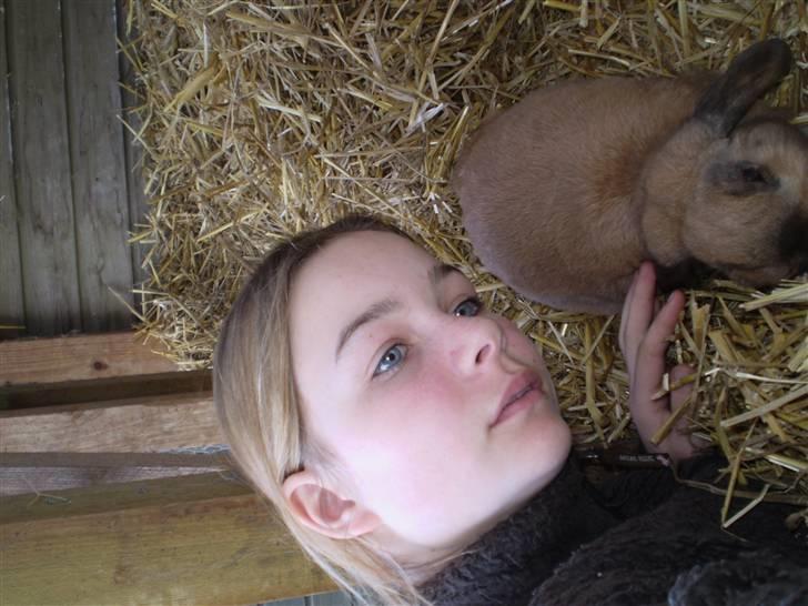 Kanin mads - bedstevenner<3 billede 12