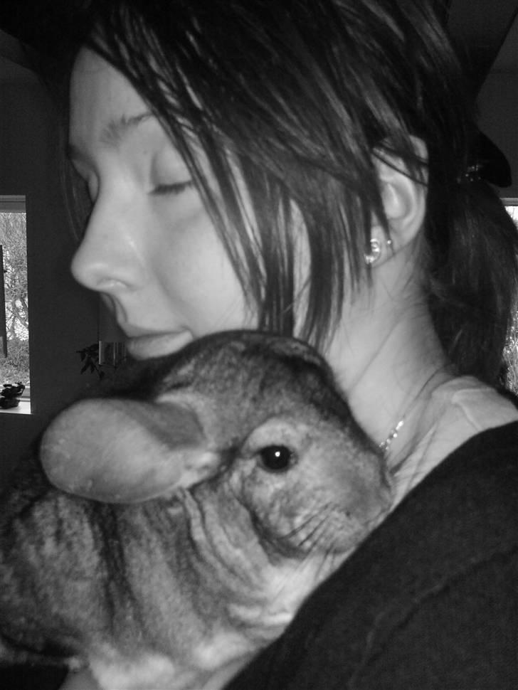 Chinchilla Burger <3 Solgt billede 2