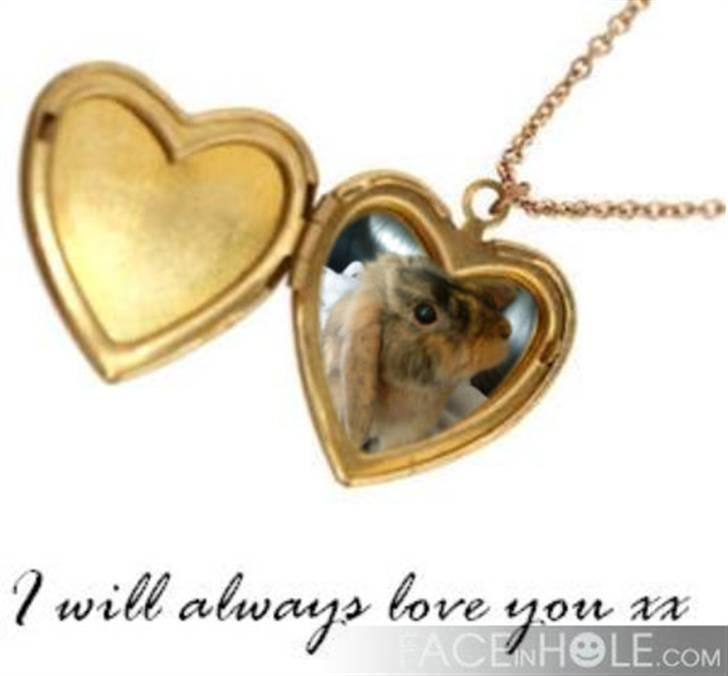 Kanin Kejser R.I.P. billede 10