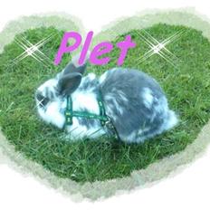 Kanin *Plet*(tisse trold)