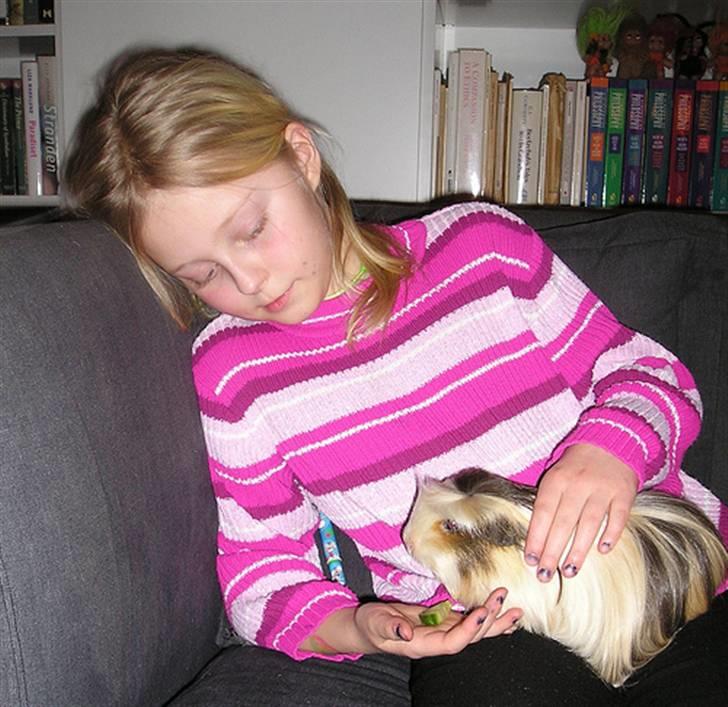 Marsvin Trine Angelica *RIP :'(* - Trines sidste måltid :( <3 billede 7