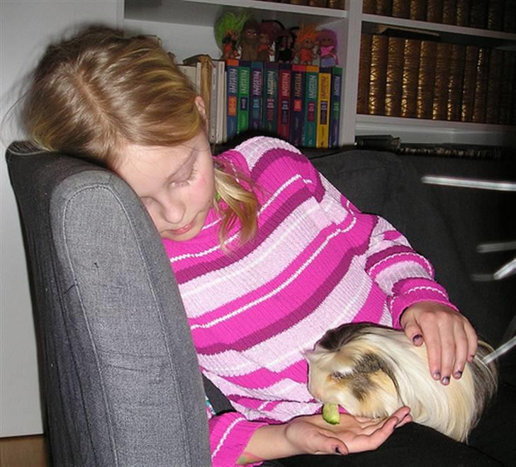 Marsvin Trine Angelica *RIP :'(* - Trines sidste måltid :( <3 billede 8