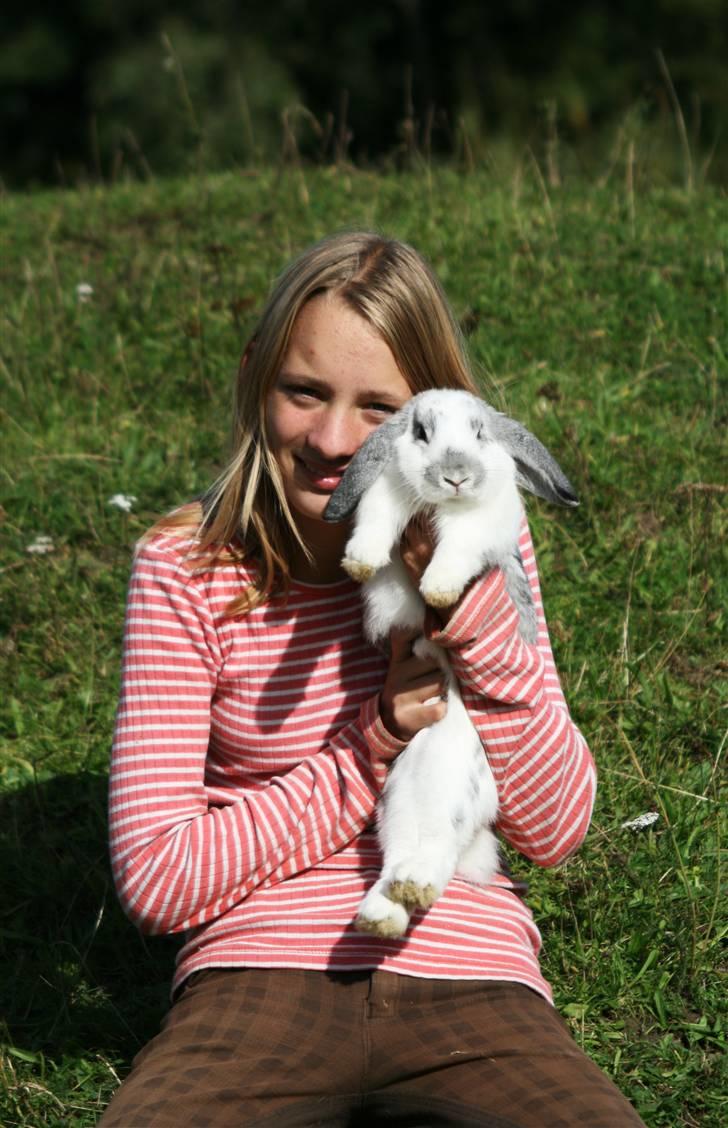 Kanin Fru. Sofus - [Foto: Trine Wandahl] billede 6