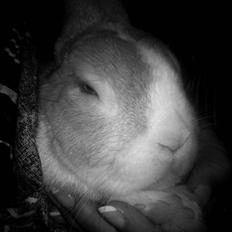 Kanin Cody - the Blue Eye <3