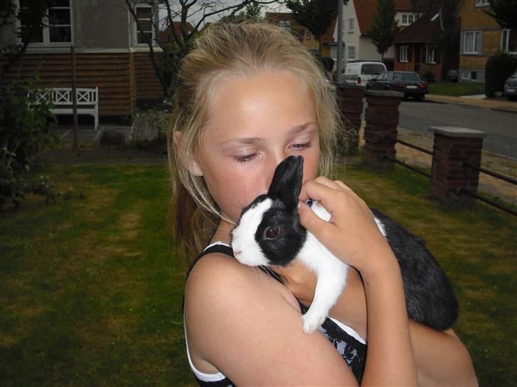 Kanin Ålbækkegårds Herbert Andersen billede 7