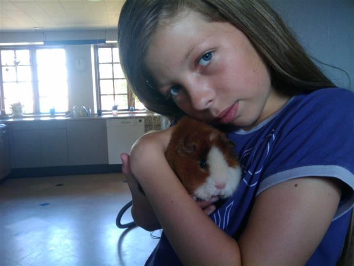 Marsvin Shine<3 billede 9