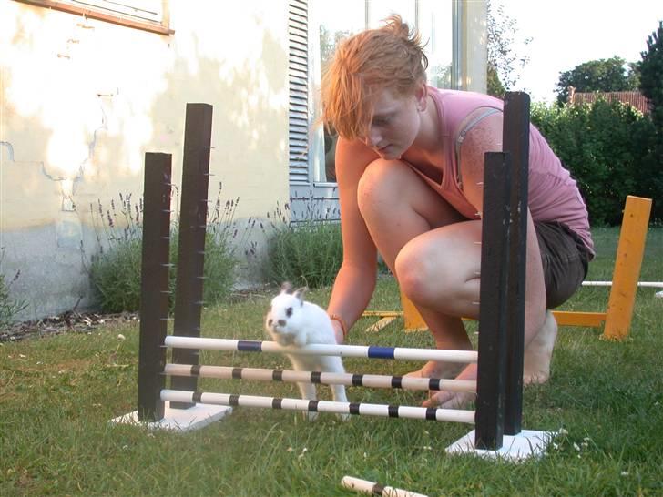 Kanin Beautiful Alicia R.I.P billede 5