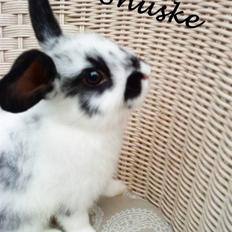 Kanin Snuske my soulmate<33