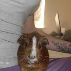 Marsvin King John John Carlos<3