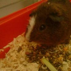 Marsvin King John John Carlos<3