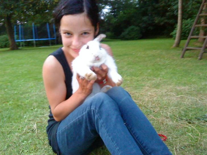 Kanin bounty<3 R.I.P:'( billede 5