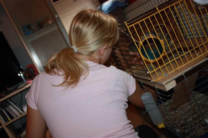 Jordegern Malou billede 14