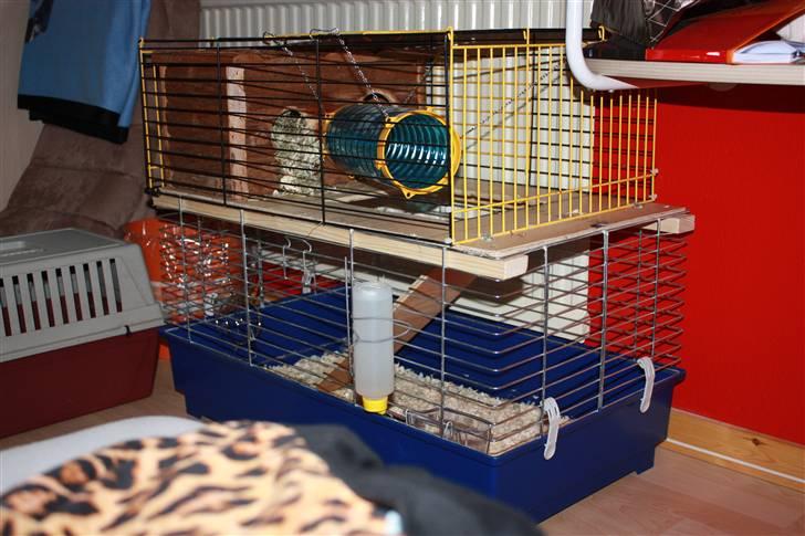 Jordegern Malou - Hendes bur.. billede 15