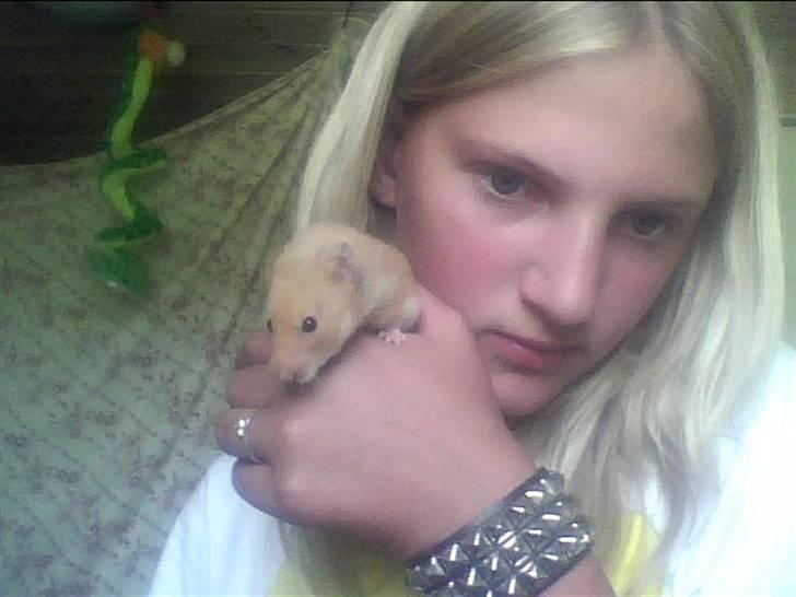 Hamster Balto billede 6