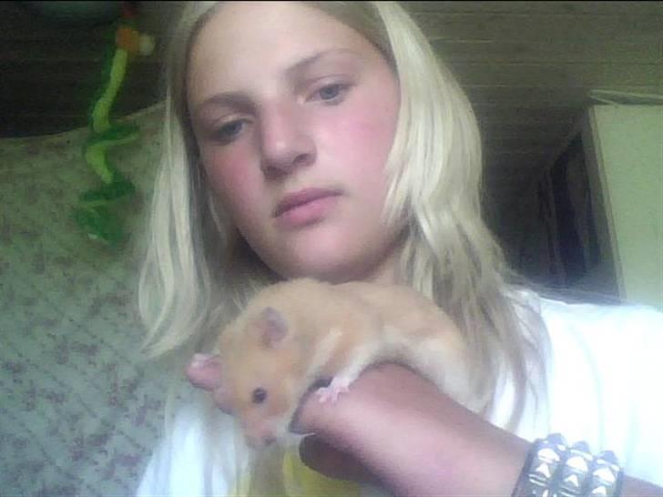 Hamster Balto billede 7