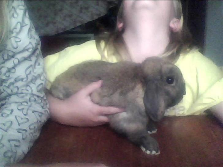 Kanin Ninka. <3 billede 2