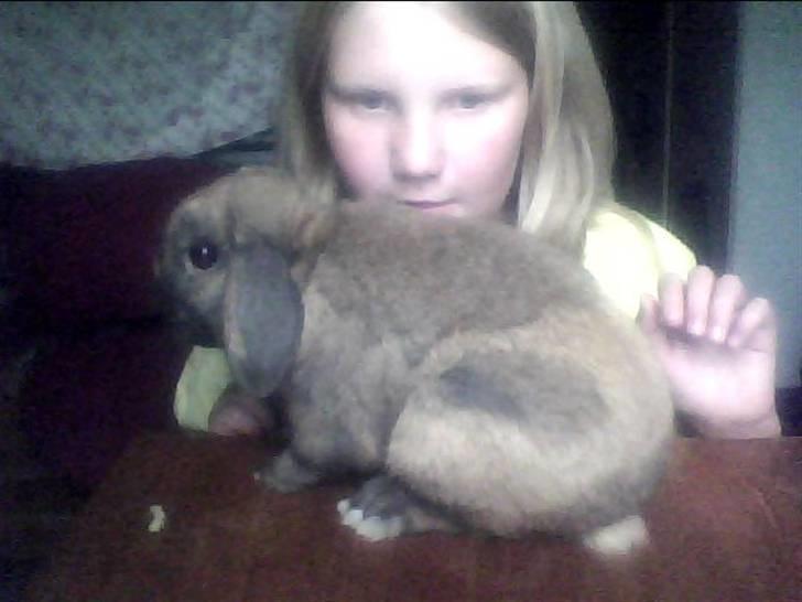 Kanin Ninka. <3 billede 5