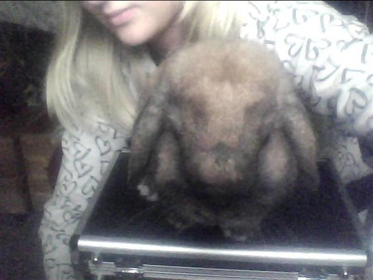 Kanin Ninka. <3 billede 8