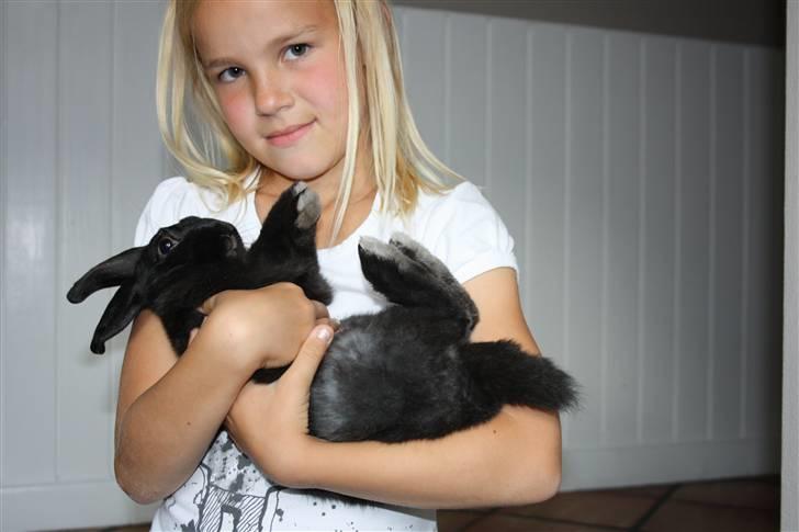 Kanin Speedy billede 2