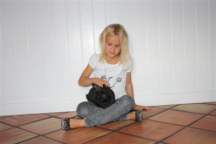 Kanin Speedy billede 7